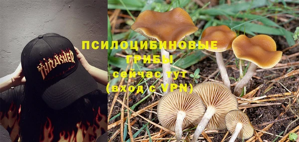 эйфоретик Богданович