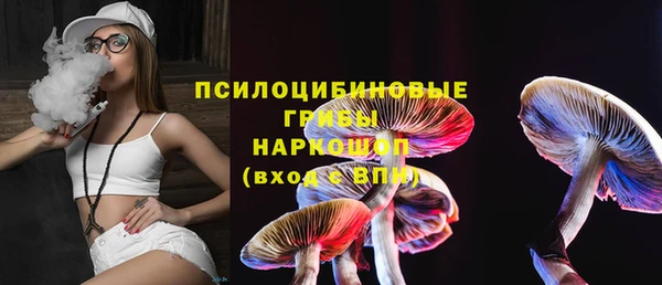 mdma Богородицк