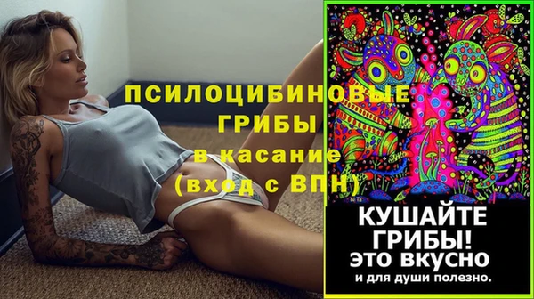 эйфоретик Богданович