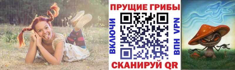 Псилоцибиновые грибы мицелий  где продают наркотики  Новопавловск 